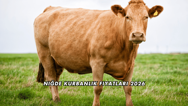 Niğde Kurbanlık Fiyatları 2026