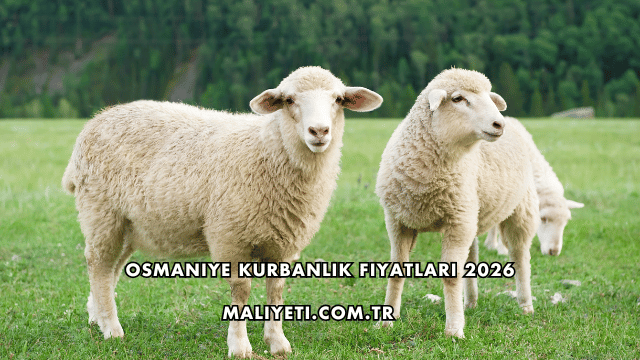 Osmaniye Kurbanlık Fiyatları 2026