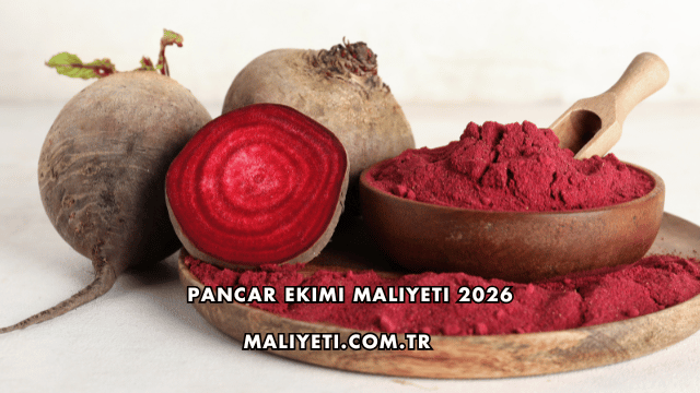 Pancar Ekimi Maliyeti 2026