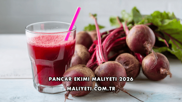 Pancar Ekimi Maliyeti 2026