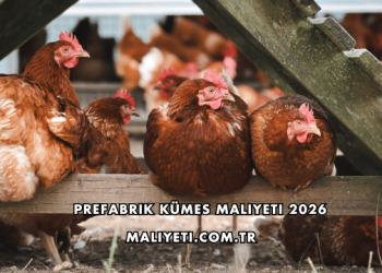 Prefabrik Kümes Maliyeti 2026