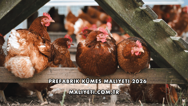 Prefabrik Kümes Maliyeti 2026