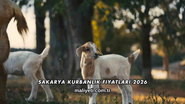 Sakarya Kurbanlık Fiyatları 2026