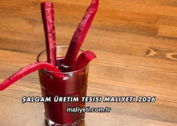 Şalgam Üretim Tesisi Maliyeti 2026