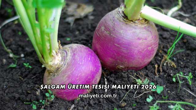 Şalgam Üretim Tesisi Maliyeti 2026
