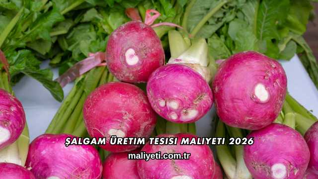 Şalgam Üretim Tesisi Maliyeti 2026