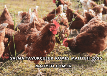 Salma Tavukçuluk Kümes Maliyeti 2026