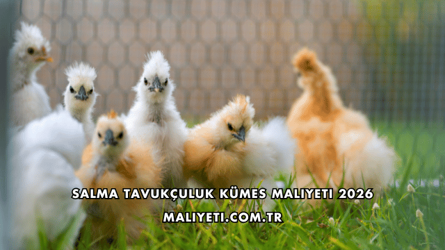 Salma Tavukçuluk Kümes Maliyeti 2026