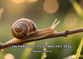 Salyangoz Çiftliği Maliyeti 2026