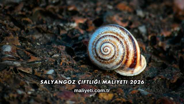 Salyangoz Çiftliği Maliyeti 2026