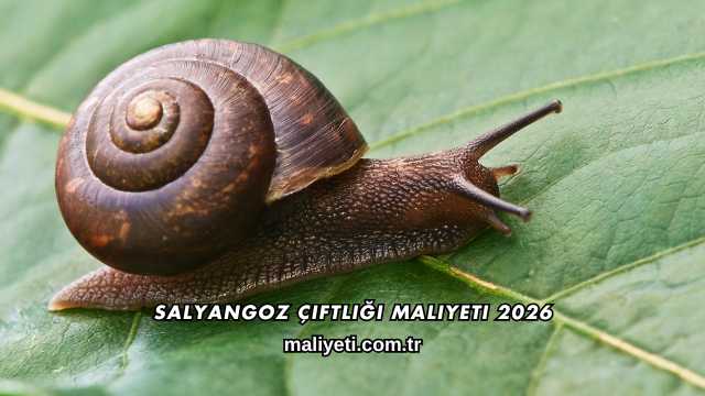 Salyangoz Çiftliği Maliyeti 2026