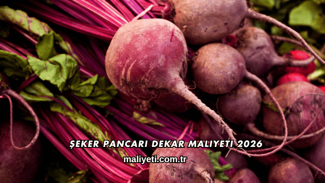 Şeker Pancarı Dekar Maliyeti 2026