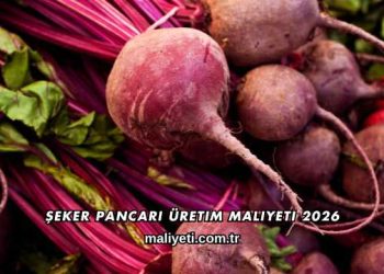 Şeker Pancarı Üretim Maliyeti 2026