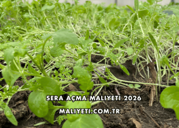 Sera Açma Maliyeti 2026