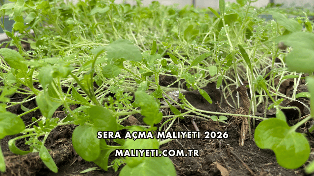 Sera Açma Maliyeti 2026