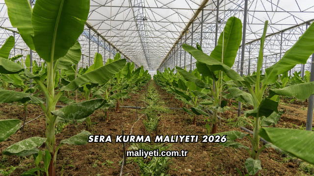 Sera Kurma Maliyeti 2026