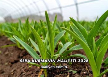 Sera Kurmanın Maliyeti 2026