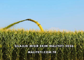 Silajlık Mısır Ekim Maliyeti 2026