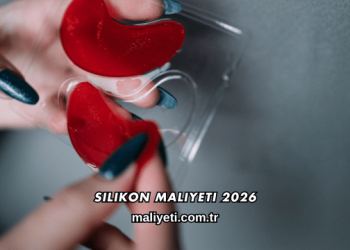 Silikon Maliyeti 2026