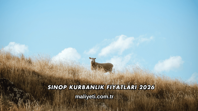 Sinop Kurbanlık Fiyatları 2026