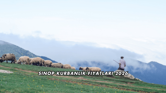 Sinop Kurbanlık Fiyatları 2026