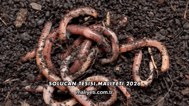 Solucan Tesisi Maliyeti 2026