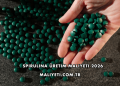 Spirulina Üretim Maliyeti 2026
