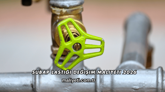 Subap Lastiği Değişim Maliyeti 2026