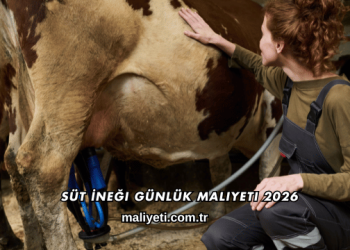 Süt İneği Günlük Maliyeti 2026