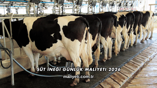 Süt İneği Günlük Maliyeti 2026