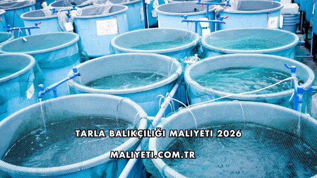 Tarla Balıkçılığı Maliyeti 2026
