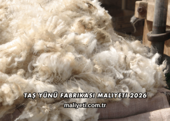 Taş Yünü Fabrikası Maliyeti 2026