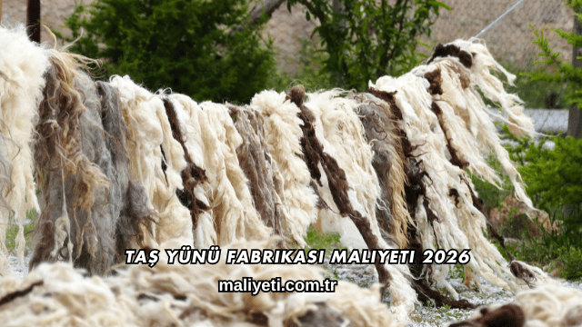 Taş Yünü Fabrikası Maliyeti 2026