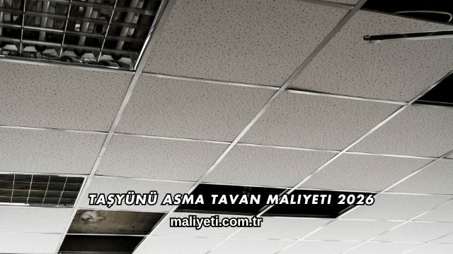 Taşyünü Asma Tavan Maliyeti 2026