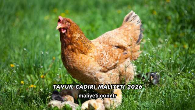 Tavuk Çadırı Maliyeti 2026