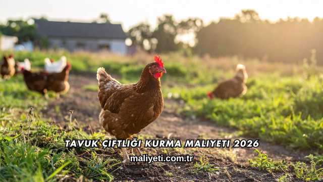 Tavuk Çiftliği Kurma Maliyeti 2026