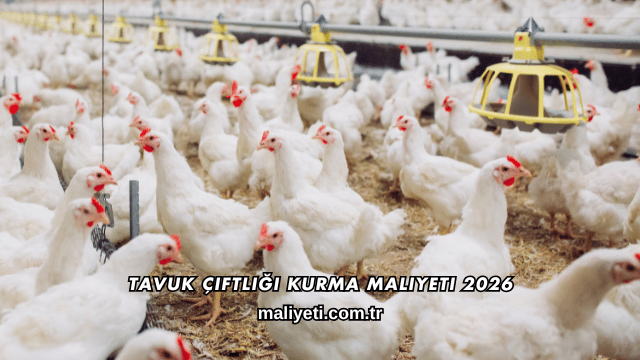 Tavuk Çiftliği Kurma Maliyeti 2026