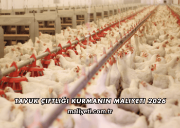 Tavuk Çiftliği Kurmanın Maliyeti 2026