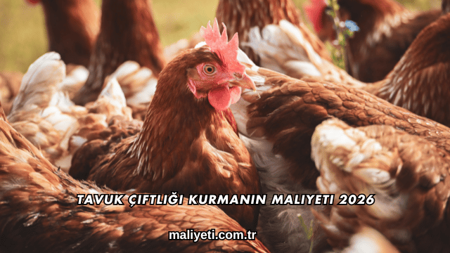 Tavuk Çiftliği Kurmanın Maliyeti 2026