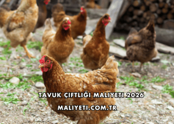 Tavuk Çiftliği Maliyeti 2026