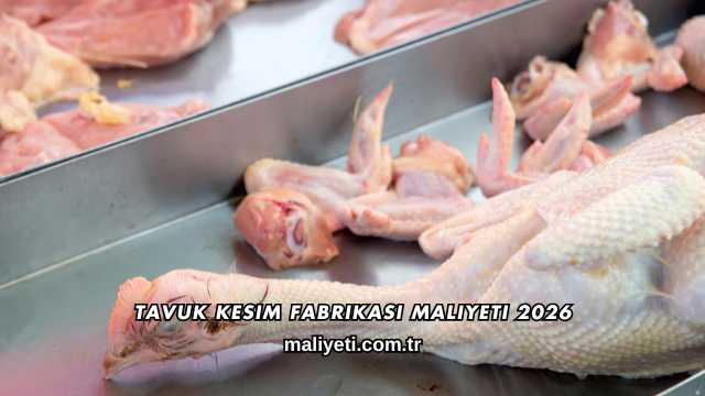 Tavuk Kesim Fabrikası Maliyeti 2026
