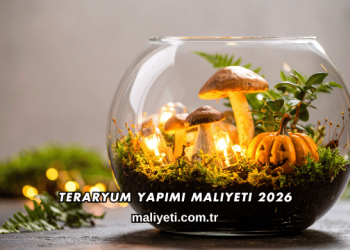 Teraryum Yapımı Maliyeti 2026