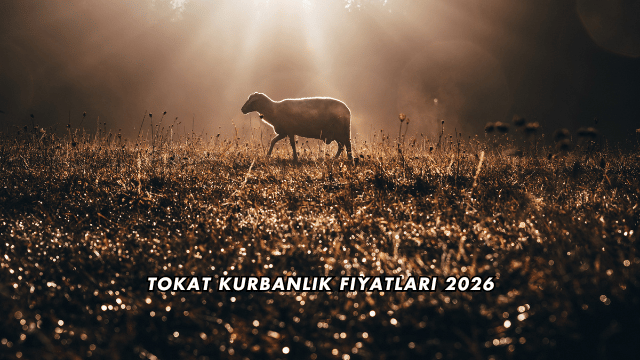 Tokat Kurbanlık Fiyatları 2026