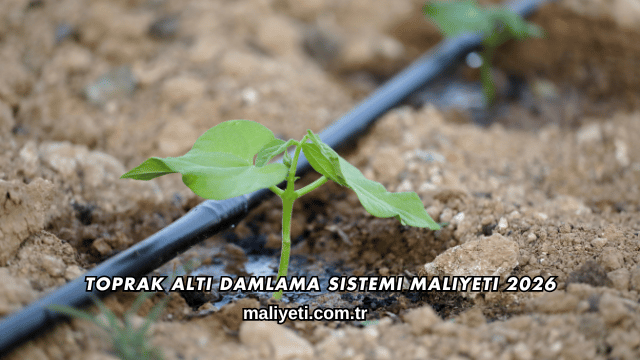 Toprak Altı Damlama Sistemi Maliyeti 2026