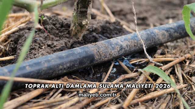 Toprak Altı Damlama Sulama Maliyeti 2026