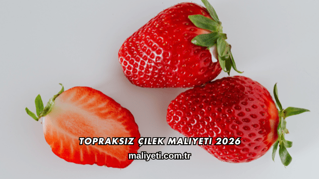 Topraksız Çilek Maliyeti 2026