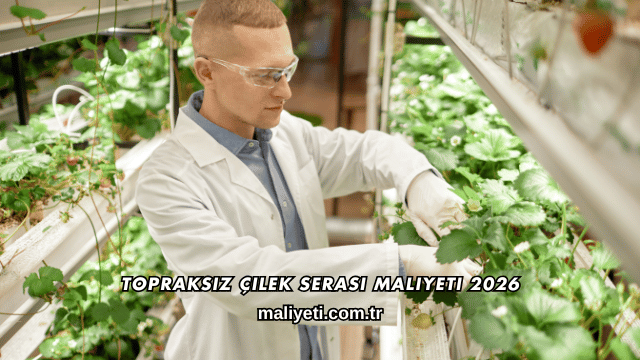 Topraksız Çilek Serası Maliyeti 2026