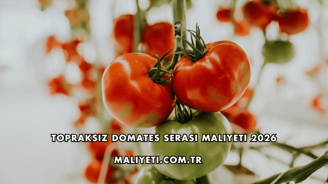 Topraksız Domates Serası Maliyeti 2026