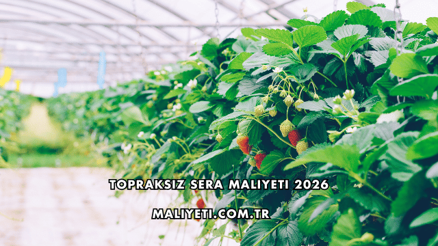 Topraksız Sera Maliyeti 2026