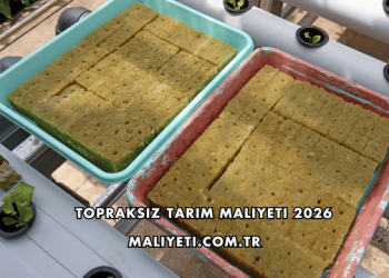 Topraksız Tarım Maliyeti 2026
